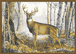 Custom Printed Rugs Whitetail Deer Non-Skid Rug